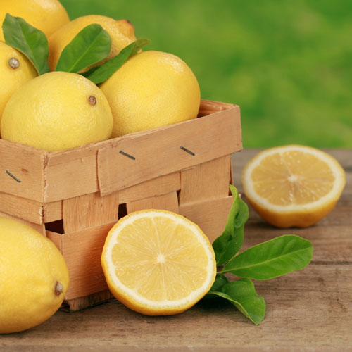 레몬 FRC/ Lemon  