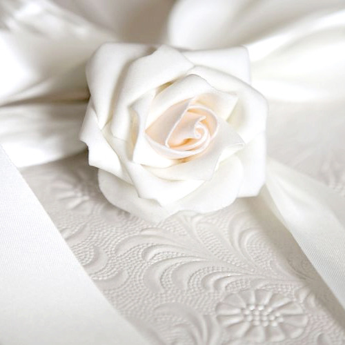 화이트로즈 / White rose  