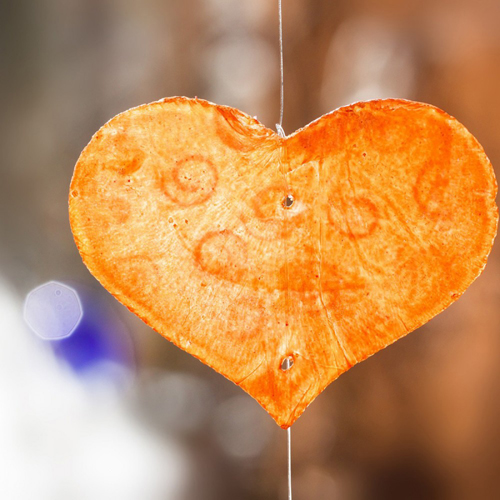 탄제린 하트 / Tangerine heart  