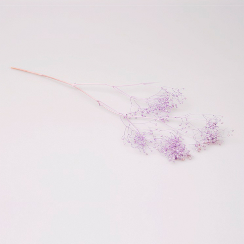 일본안개꽃/프리저브드 안개꽃_퍼플