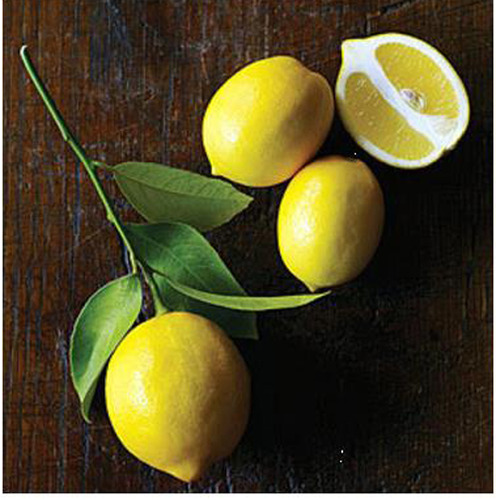 메이어레몬 Meyer lemon 